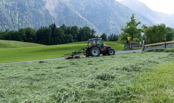 Being Organic in EU Being Organic in EU