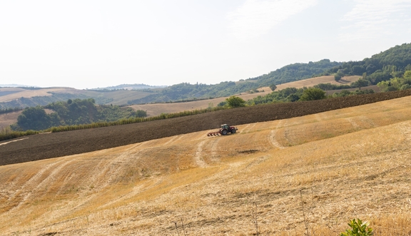 BEING ORGANIC IN EU BEING ORGANIC IN EU