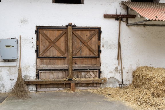 Foto: Being Organic in EU Foto: Being Organic in EU